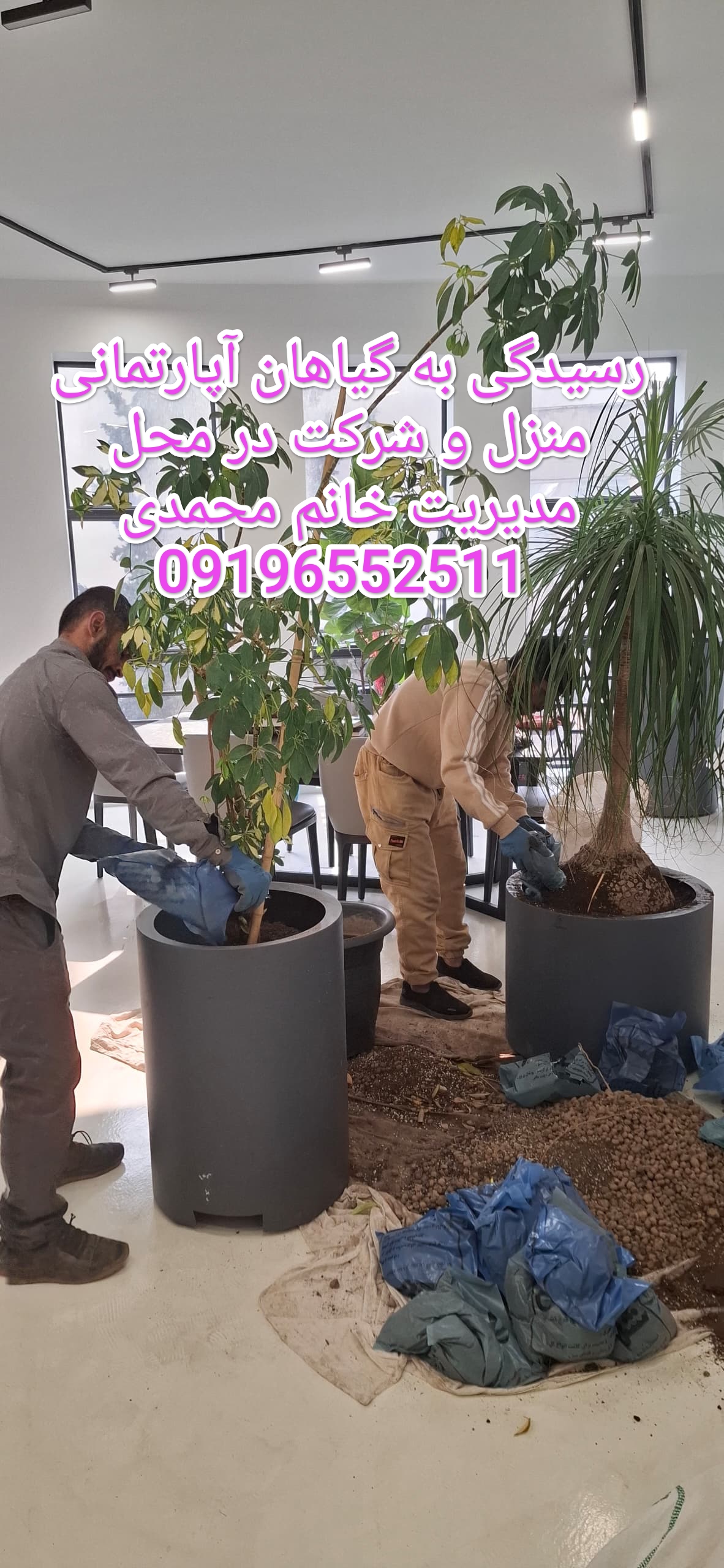 کاشت گل گیاه  هرسکاری باغچه تعویض خاک گلدان منزل شرکت در شمال تهران مدیریت محمدی09196552511