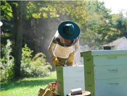 Breeding apiaries foreverliving