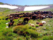 طبیعت گردی آذربایجان (آذر دولان)