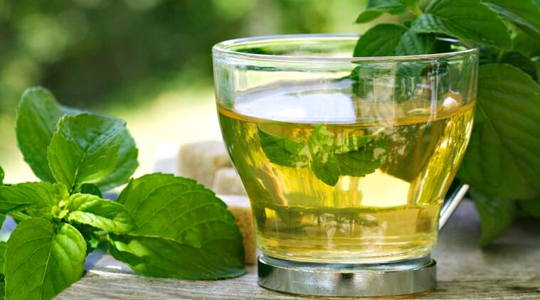 کاهش خطر ابتلا به آلزایمر با نوشیدن چای سبز؛ چرا و چگونه این اتفاق روی می‌دهد؟