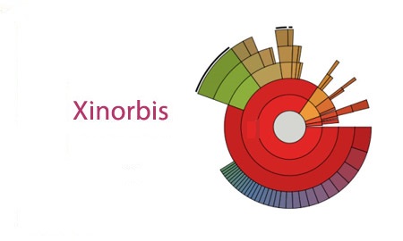 Xinorbis 