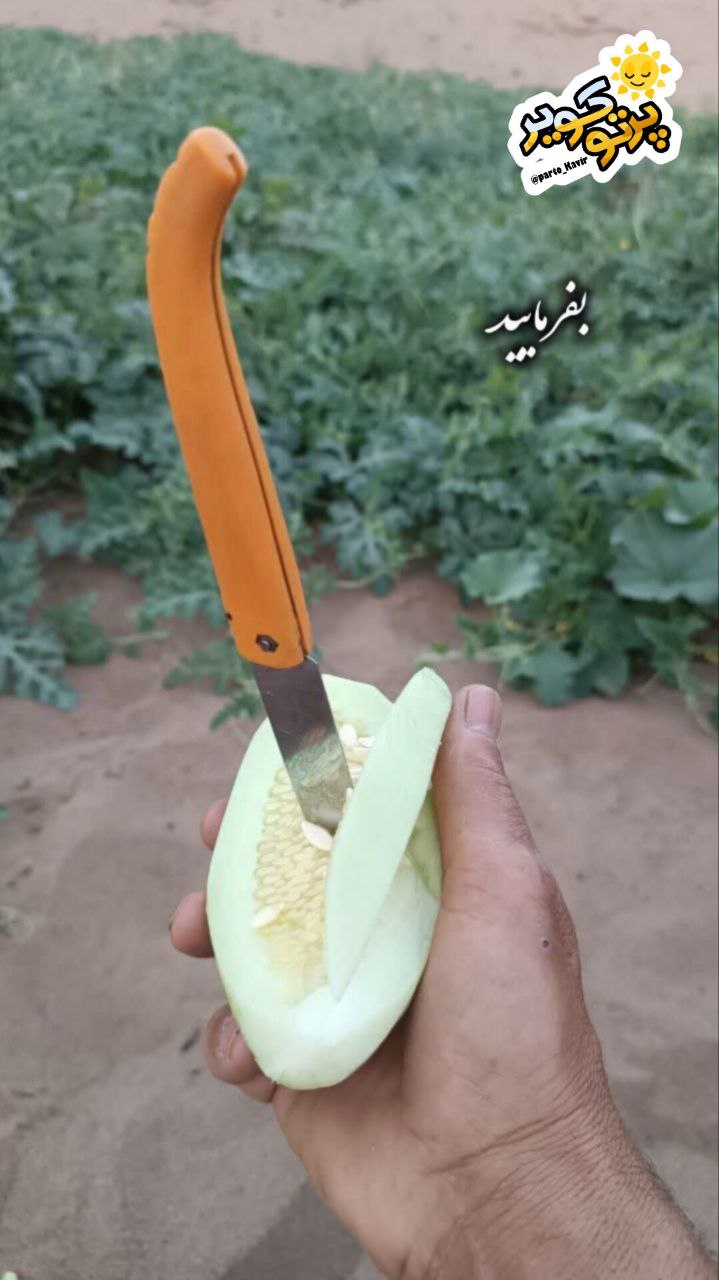 کویر سنبک آران و بیدگل