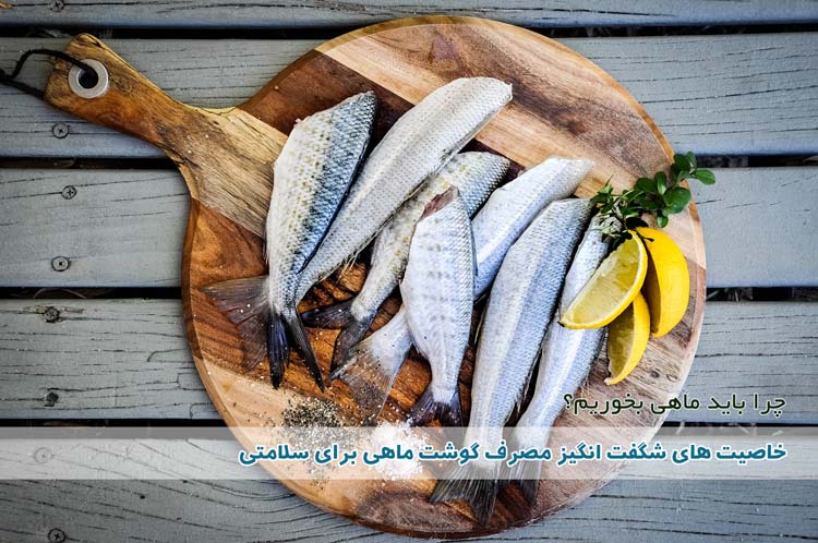 خواص گوشت ماهی