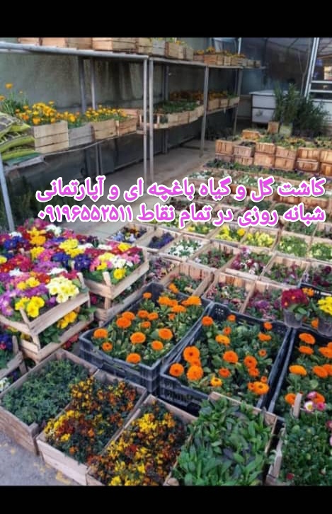 خدمات باغبانی درمحل /09196552511