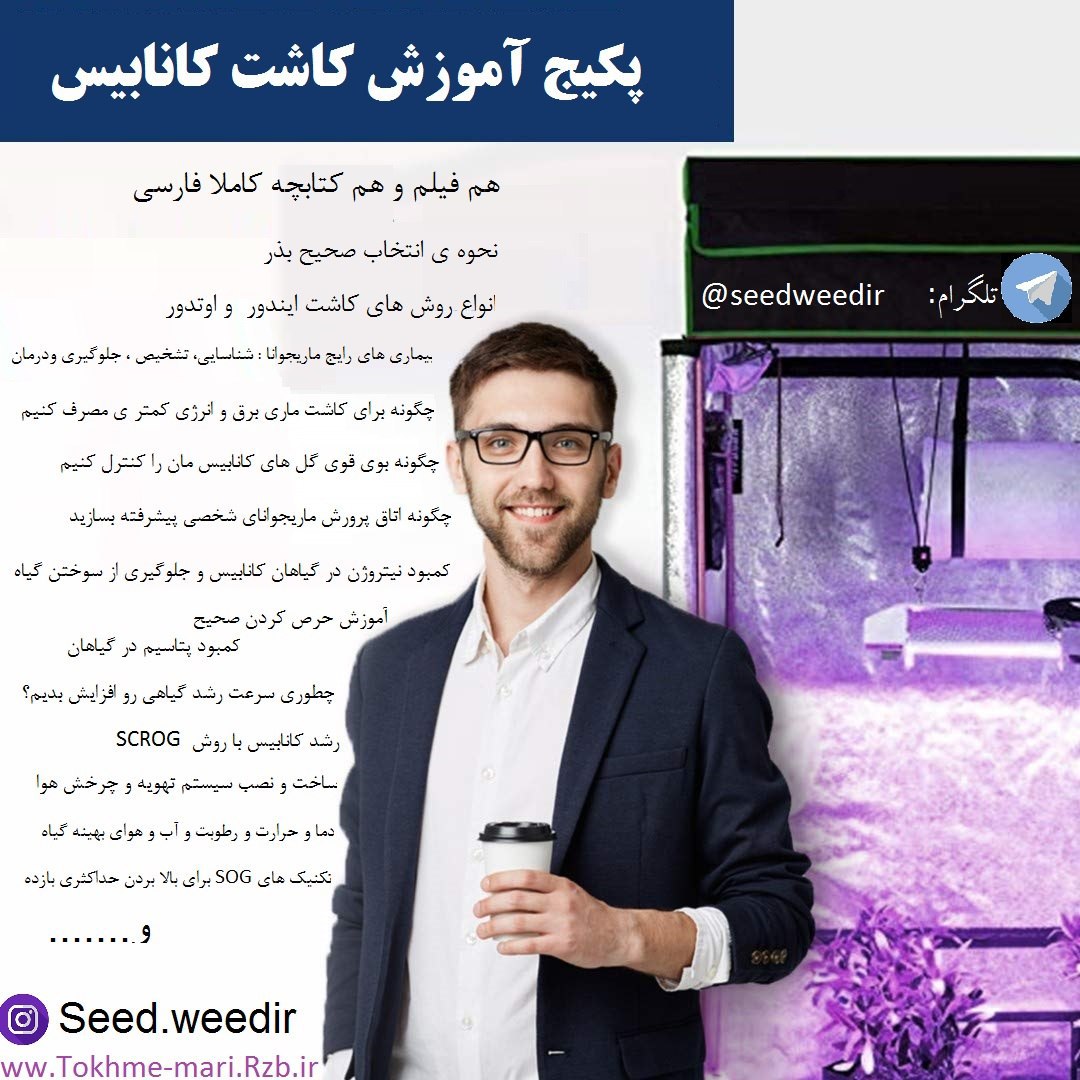 آموزش کاشت گیاه