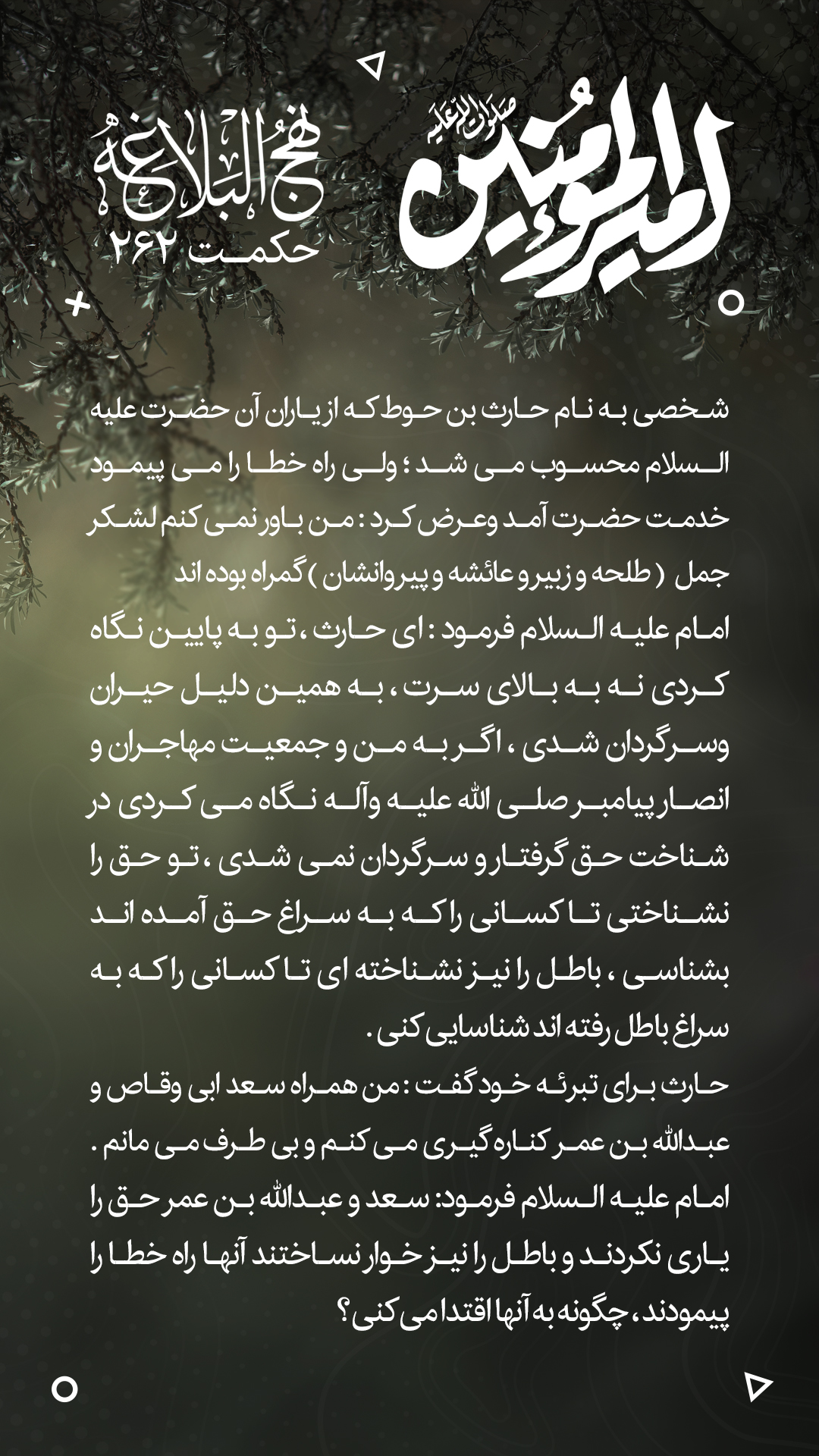 حکمت 262 نهج البلاغه