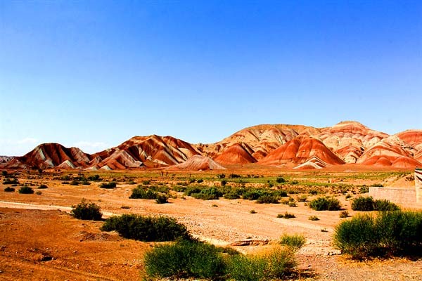 ماهور های لک لک
