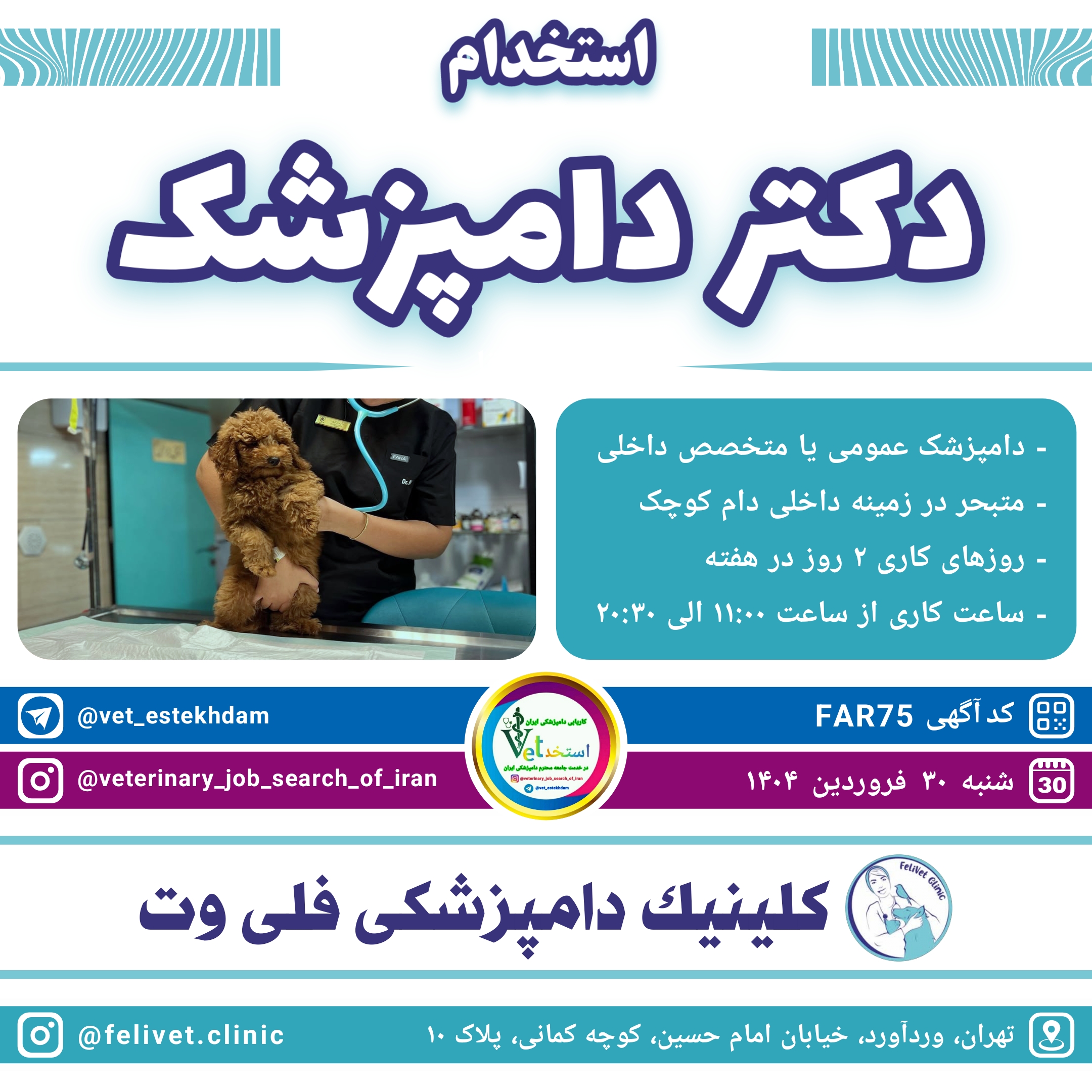 استخدام دامپزشک عمومی‌یا متخصص داخلی در کلینیک دامپزشکی فلی وت واقع در غرب تهران وردآورد