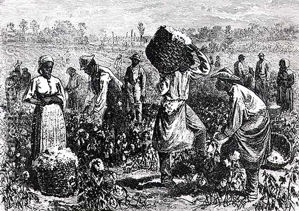 بردگان در مزار ع پنبه