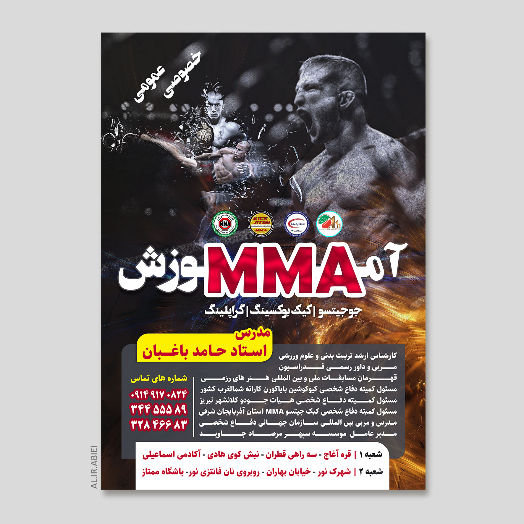 پوستر آموزش MMA