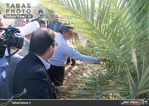 محسن هاشمی رفسنجانی در طبس