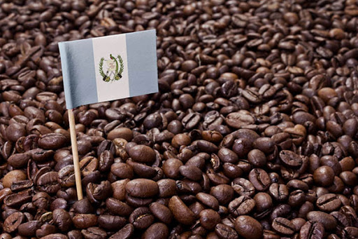 قهوه گواتمالا
