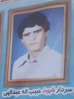 شهید حبیب الله عبدالهی (دیم) - دهدشت 