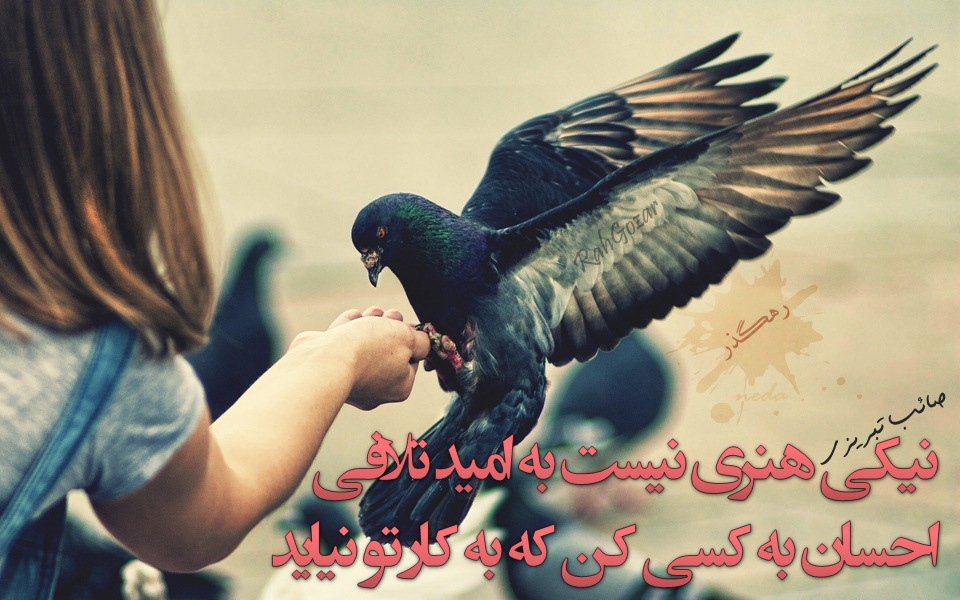 Image result for ‫شعر احسان و نیکی‬‎