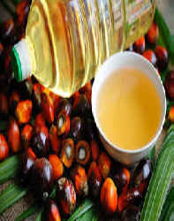 نقش روغن پالم در صنایع غذایی