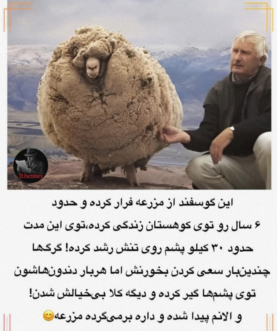 انقلاب ببعی تنها