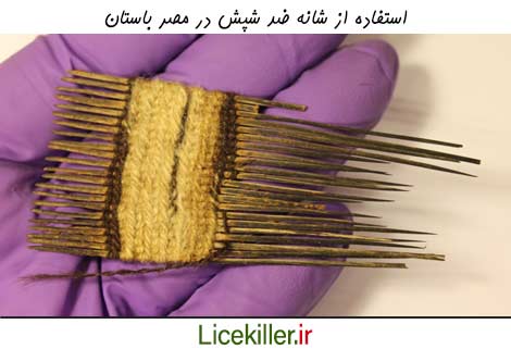استفاده از شانه ضد شپش در مصر باستان 