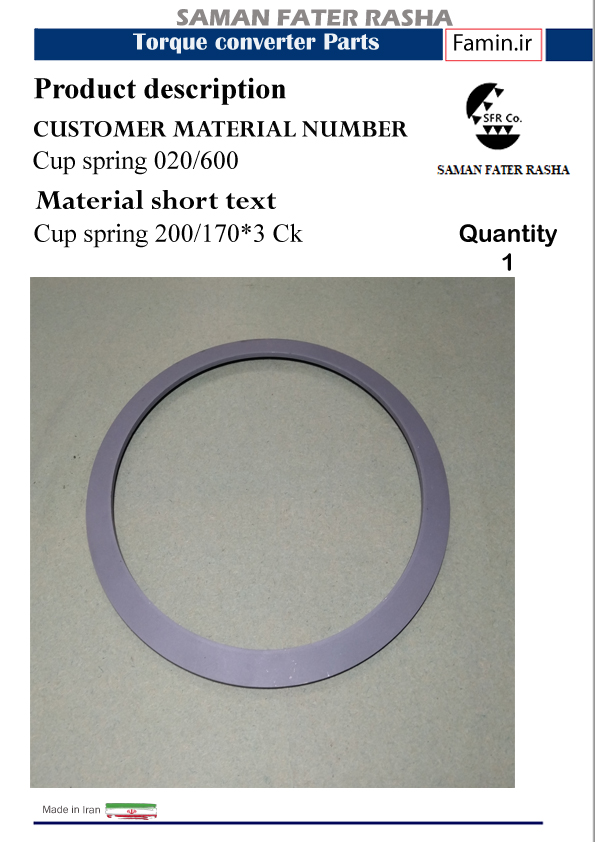 Cup Spring 020600