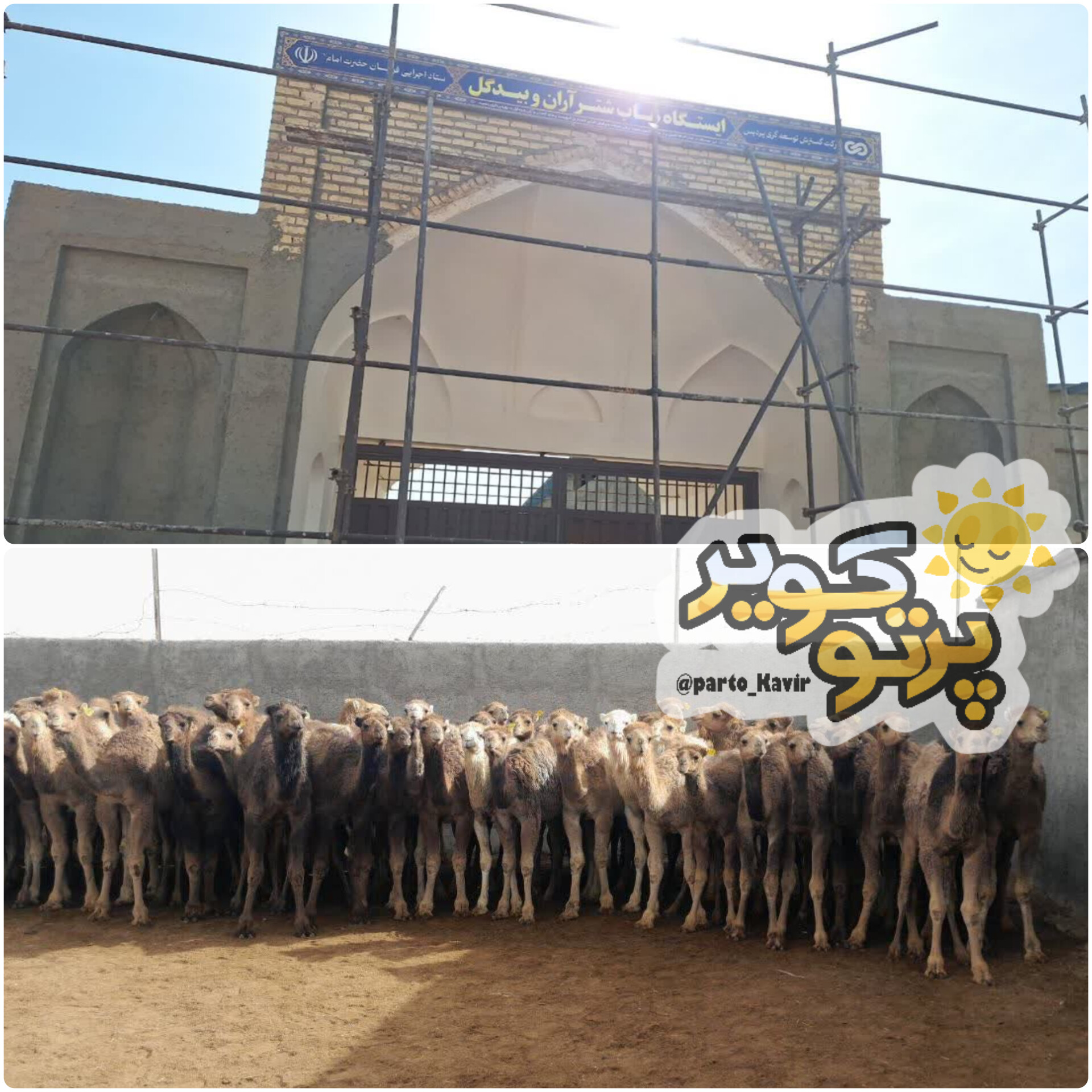 هاب شتر آران و بیدگل 