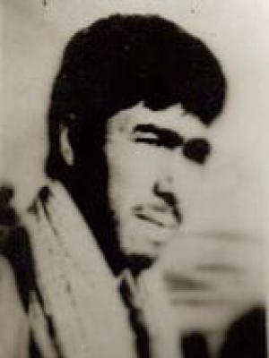 شهید خان احمدلو-حسن