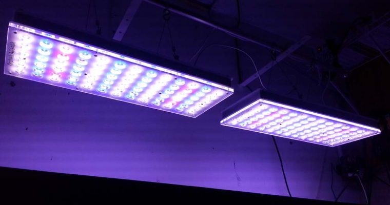 اثبات ضرر نور LED بر سلامت انسان