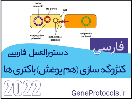 دستورالعمل فارسی کنژوگه سازی (هم یوغش) باکتری ها Bacterial conjugation protocol