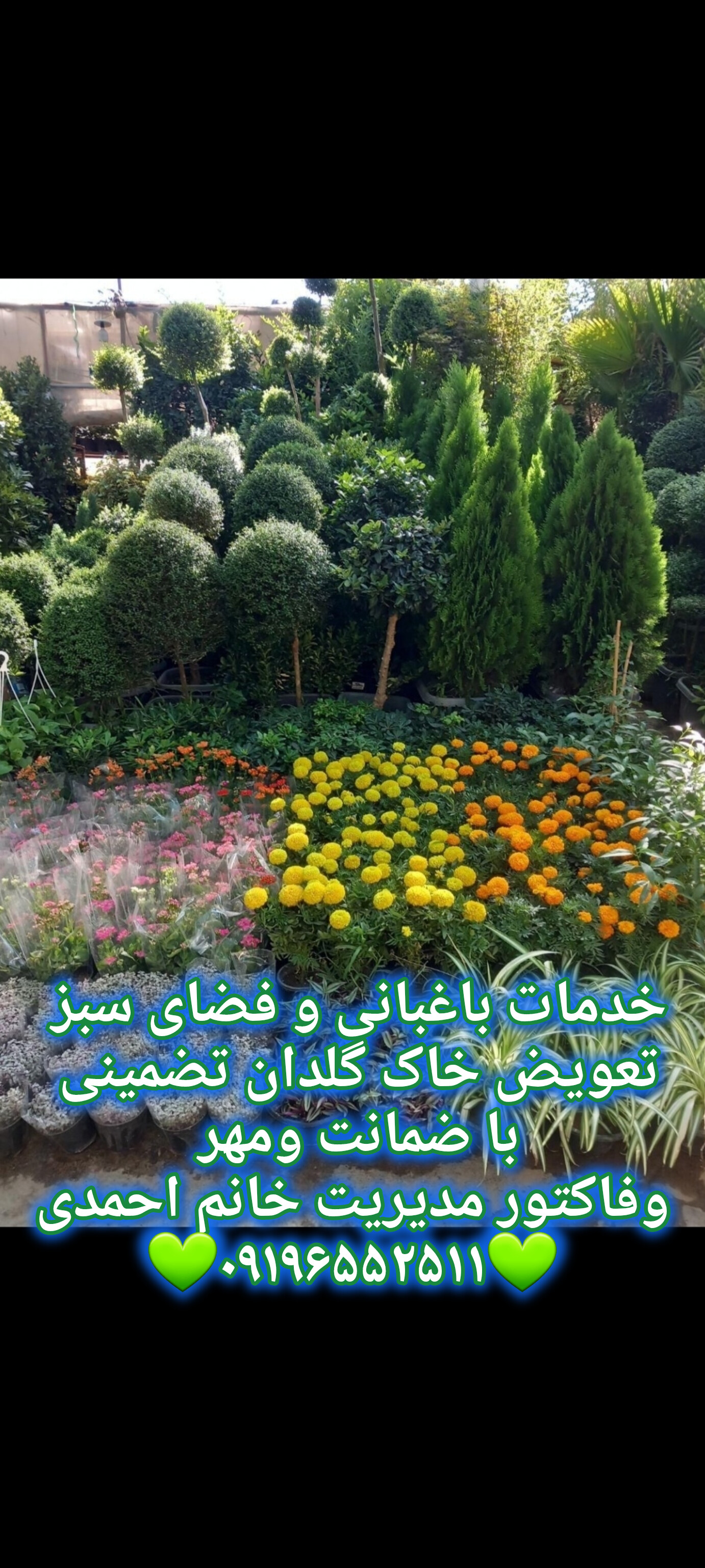 خدمات باغبانی درمحل /09196552511