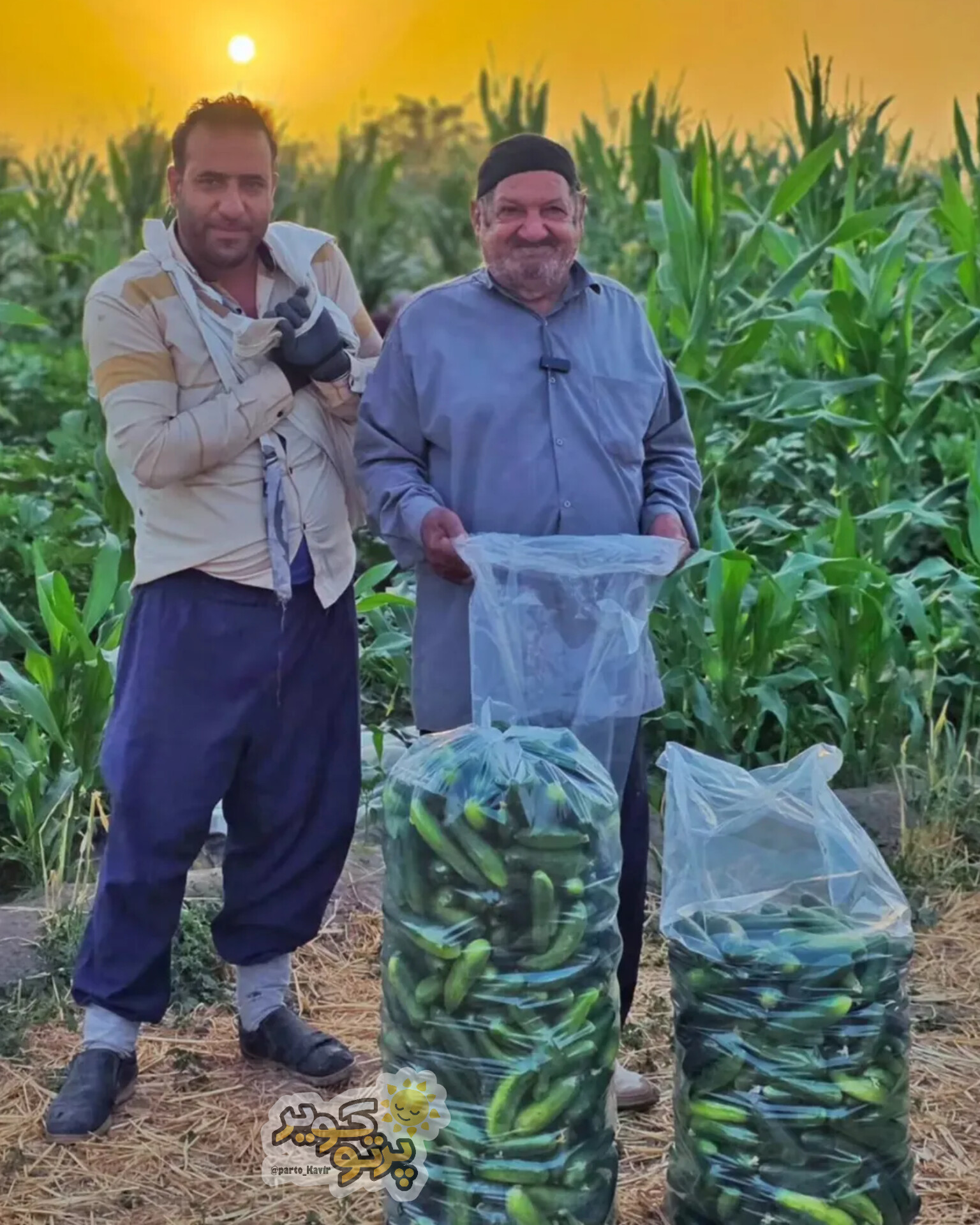 لتحر