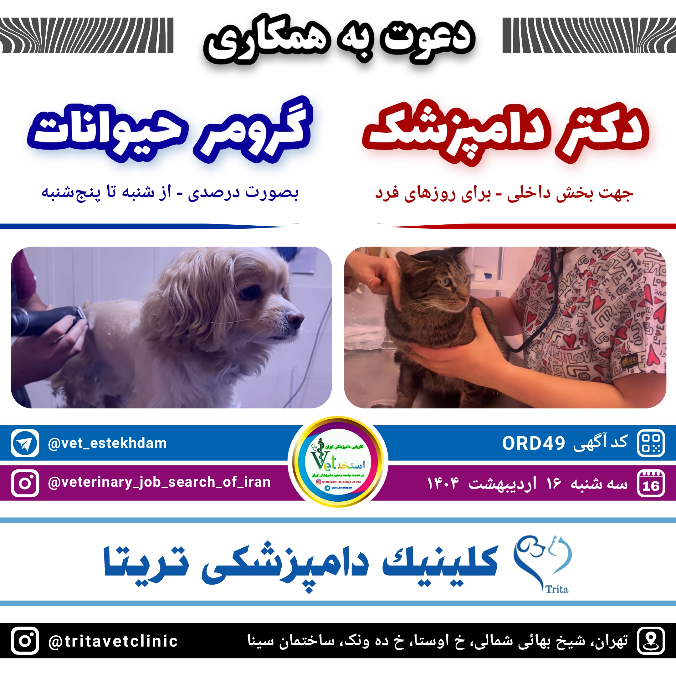 استخدام دامپزشک و گرومر در کلینیک دامپزشکی تریتا واقع در تهران شیخ بهائی شمالی ده ونک