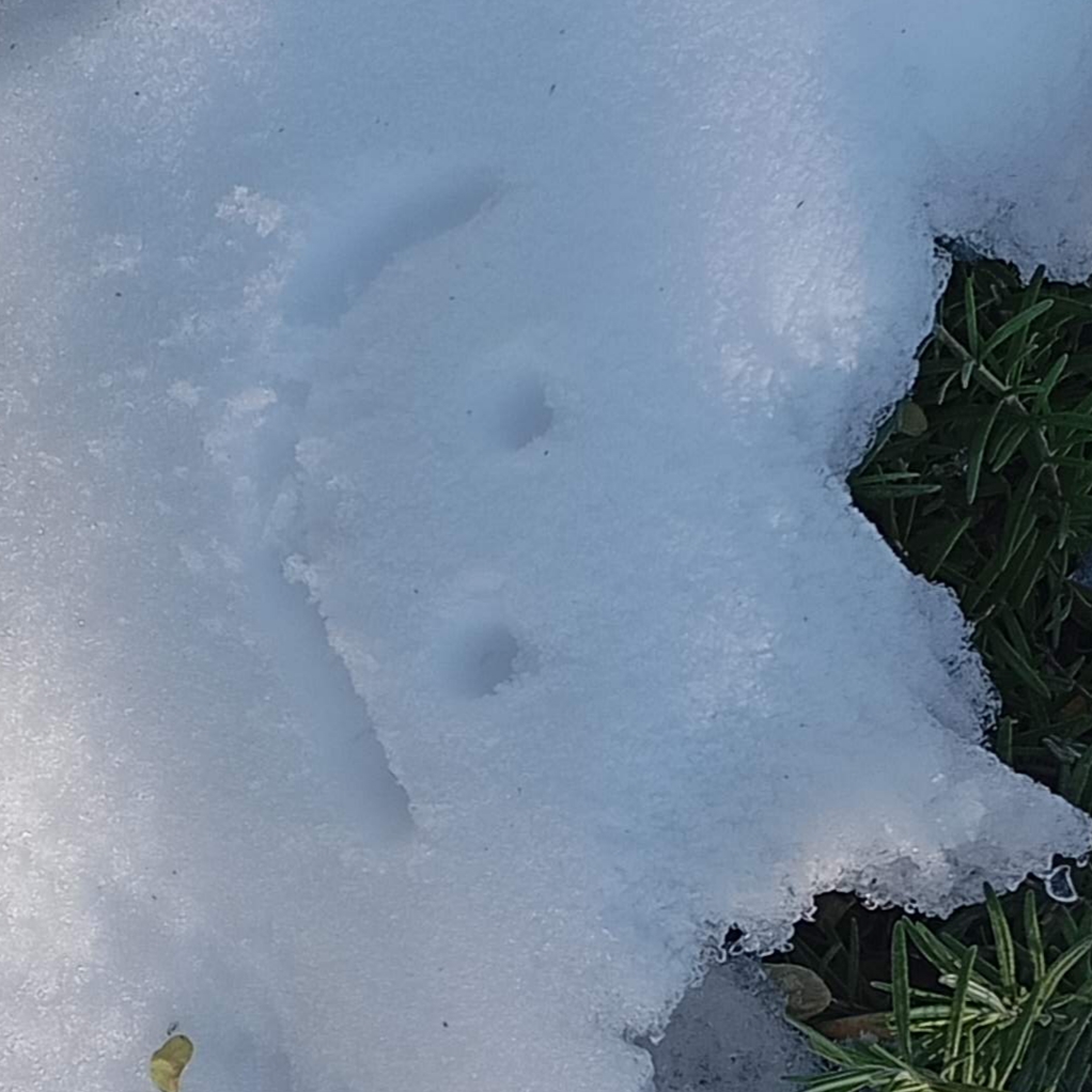 ابی ها بی نهایت اند؟