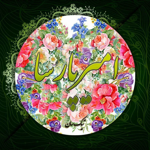 لوگوی اسم پارسا