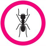 فروشگاه اینترنتی سم مورچه | بهترین سم برای ریشه کنی مورچه های ریز و درشت
