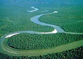 ویژگی ها و اهمیت جنگل های آمازون امریکا
