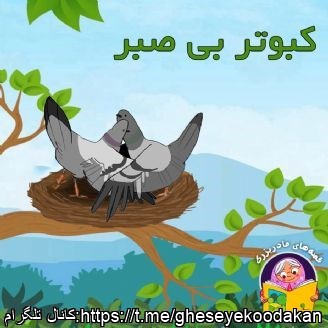 قصه کودکان کبوتر بی صبر 