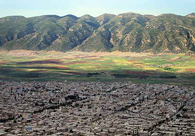 همچو سایه
