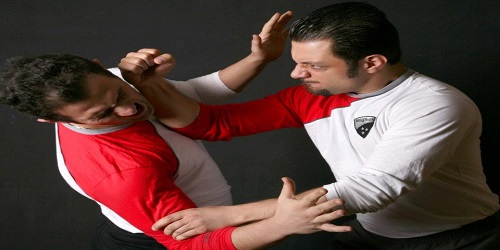 سی فو هنردار - 1