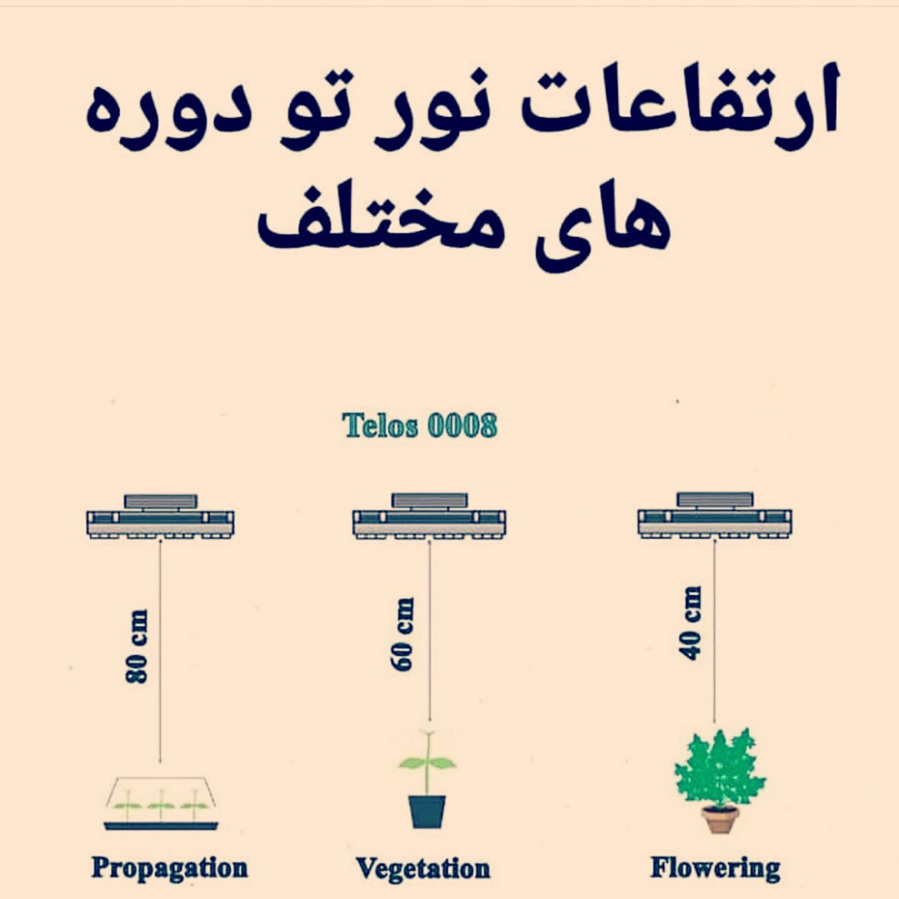 اموزش کاشت وید درخانه