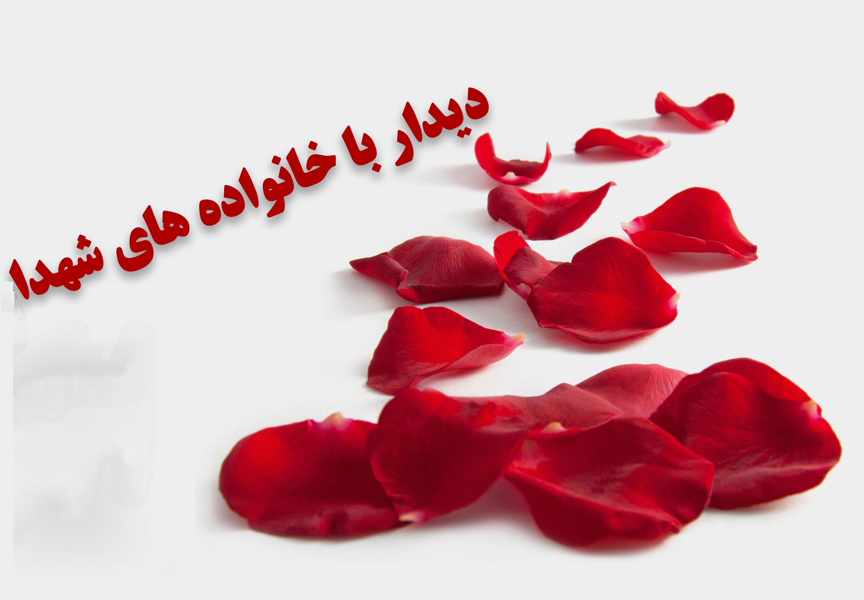 به همت بسیج دانشجویی دانشکده پرستاری و به مناسبت هفته بسیج دیدار با خانواده شهید صادق عدالت اکبری  برگزار گردید