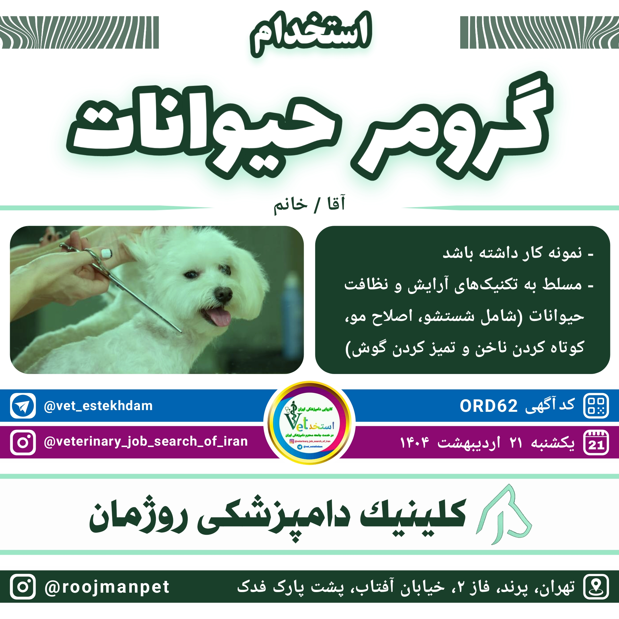 استخدام گرومر حیوانات در کلینیک دامپزشکی روژمان واقع در تهران پرند فاز دو