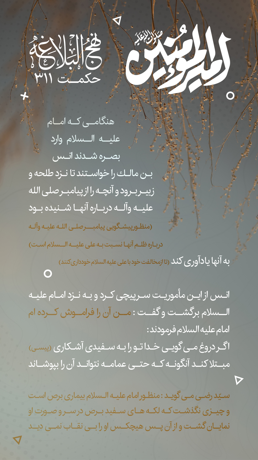 حکمت 311 نهج البلاغه
