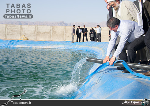 محسن هاشمی رفسنجانی در طبس