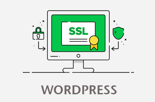 آموزش نحوه نصب ssl روی وردپرس