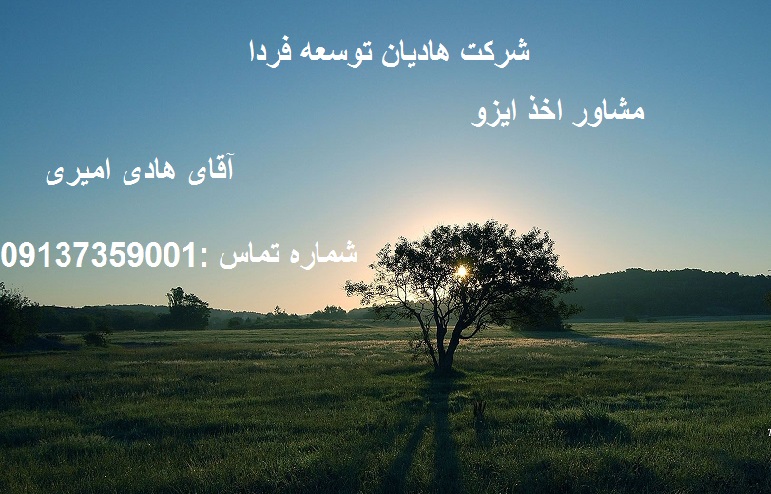 ISO consulting