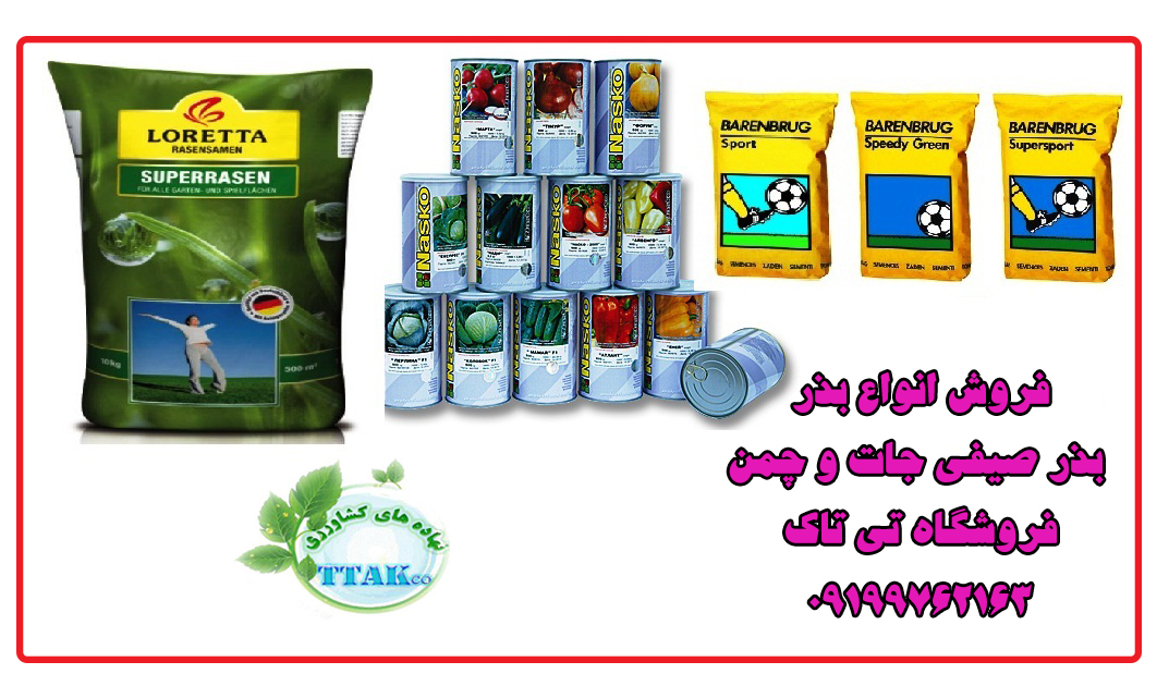 کاشت بذر چمن ، روشی ساده و کم هزینه