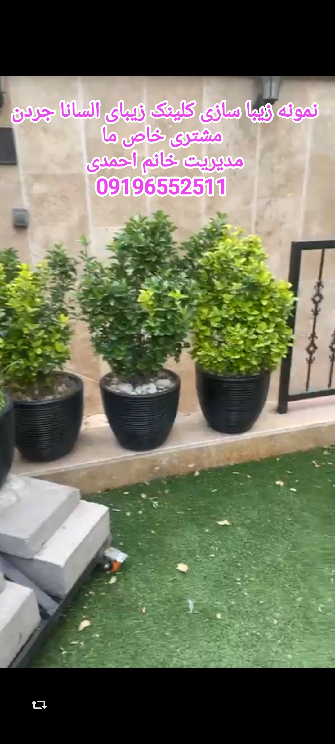 باغبانی گلکاری باغچه  زیبا سازی حیاط بالکون پاسیون تعویض خاک گلدان جردن خانم احمدی 09196552511