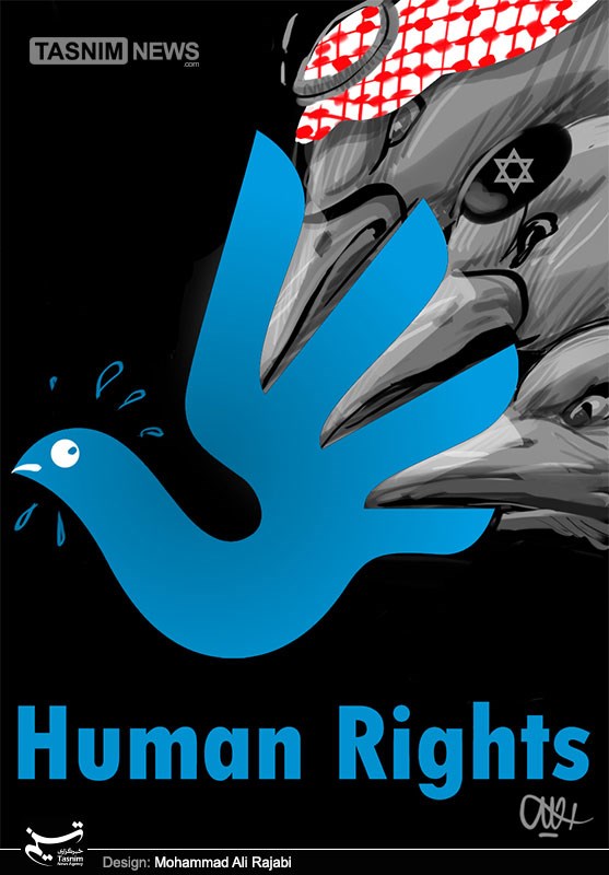 human rights!!!!!!
