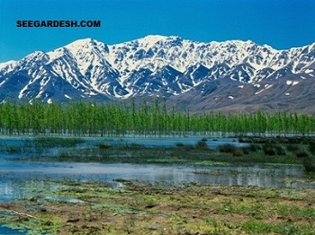 عکس هایی زیبا از تالاب جغاخور