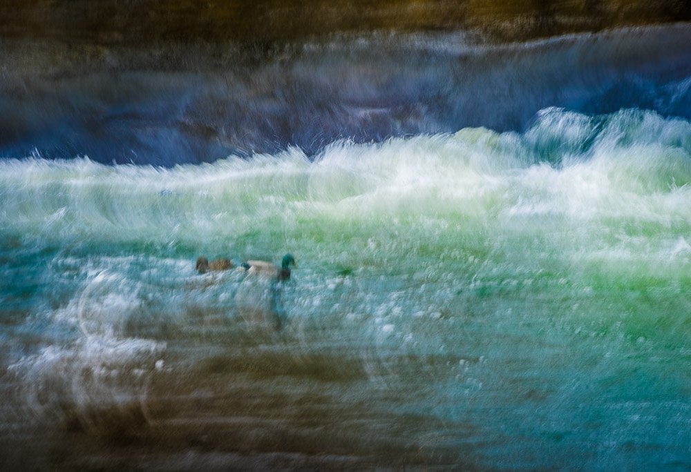Weathering The Storm Together by Maz Mahjoobi | Abstract Photography