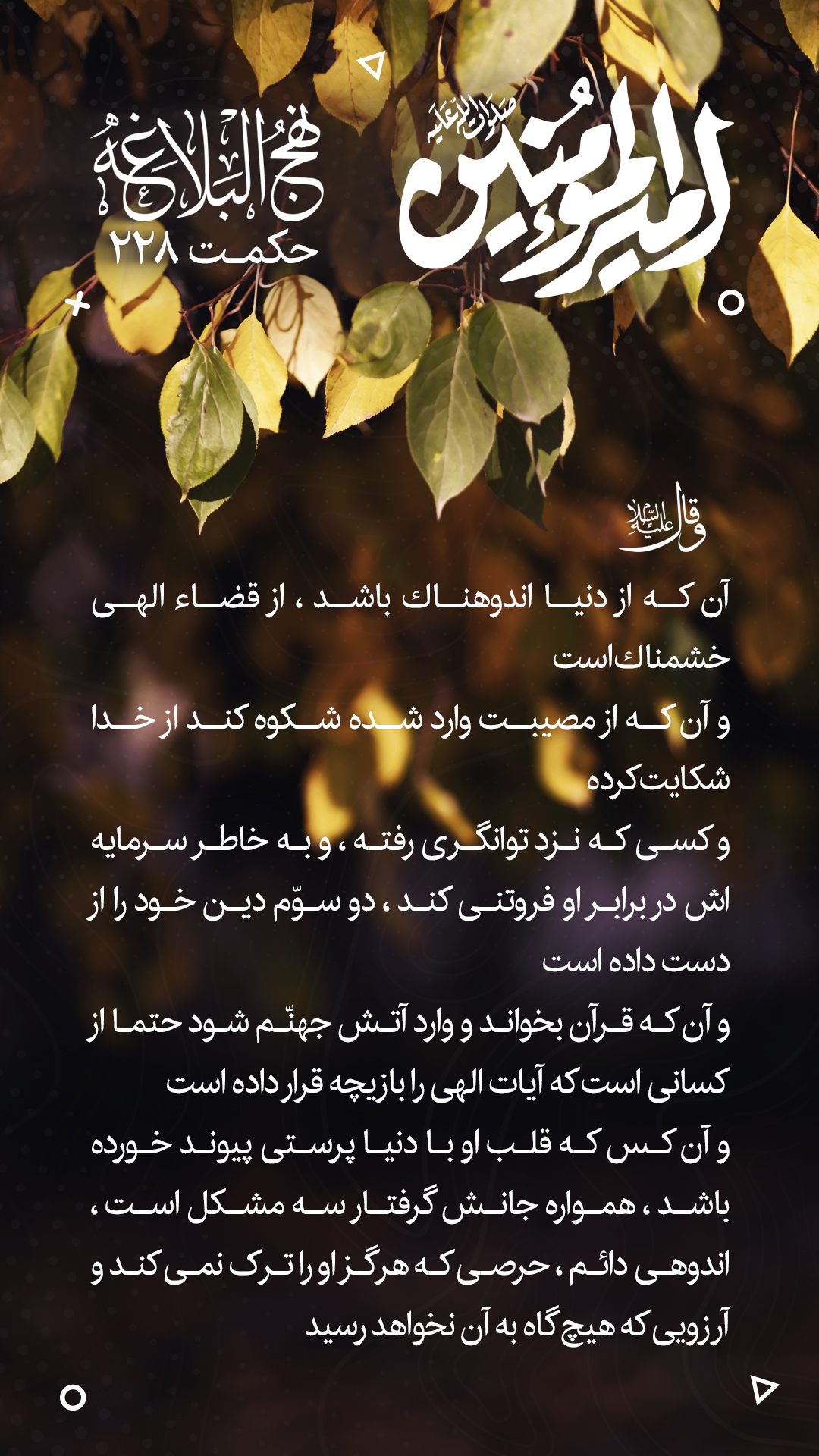 حکمت 228 نهج البلاغه