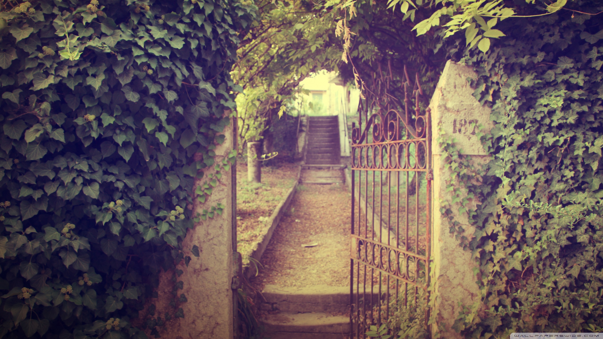 gate-wallpaper-2560x1440.jpg